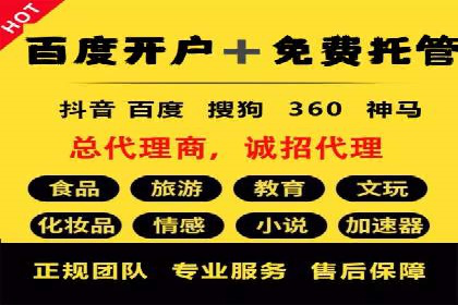 案例研究：如何通过竞价广告实现精准营销